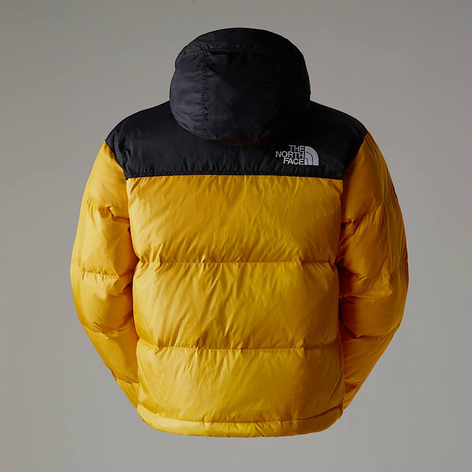 Veste 1996 Retro Nuptse pour homme